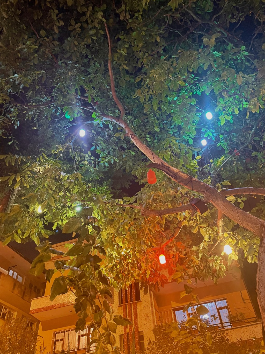 Gürültülü Kentin Sakin Adresi: Tilda Kafe