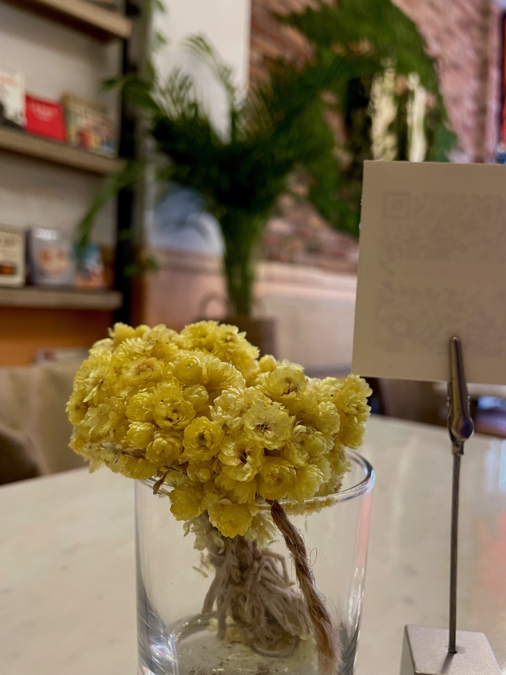 Zincir Kırdıran Kafe: Arezu Moda