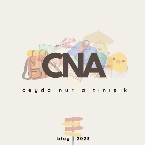 Ceyda Nur Altınışık